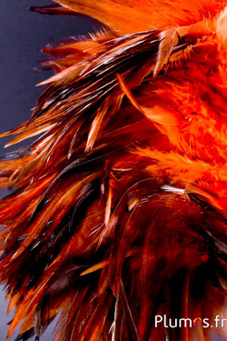 Frange coq - long. plumes 10-15 cm - ambre-café